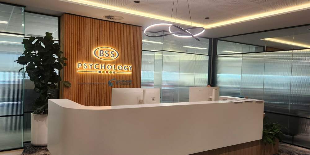 BSS Office 2024